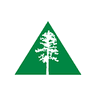 AMSF logo