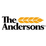 ANDE logo