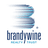 BDN logo