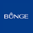 BG logo