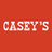 CASY logo