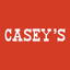 CASY logo