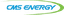 CMS logo