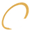 CSV logo