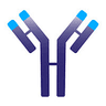 IMVT logo