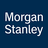 MS logo