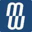 MSEX logo