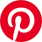 PINS logo