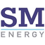 SM logo