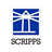 SSP logo