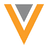 VEEV logo